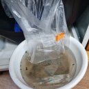 구교2길 이미지