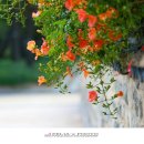 수로왕릉 이미지