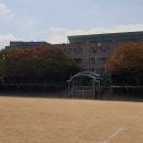 양천중학교 이미지