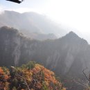 모란골민박 티스토리