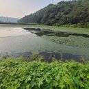 오동축산 이미지