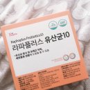 라파플러스광주