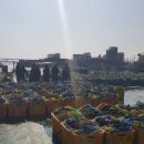 부산해양경찰서
명지파출소 이미지