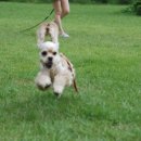 황토와통나무 이미지