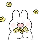 한결뉴라이프