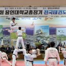 용인대학교 태권도 철원신문