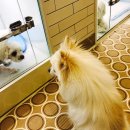 시온동물병원 이미지