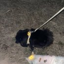 DD PC랜드 | 여행준비를 곁들인 일상로그