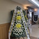 천주교부산교구유지재단 부산성모병원 이미지