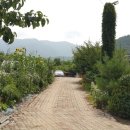 폭포 민박 이미지