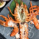 풍동 맛집 청정회활어 후기, 울릉도 스페셜로 제대로 즐긴 회 한 상!