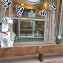 멍털스케치 네이버블로그