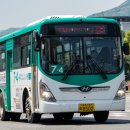 남양주금곡초등학교 네이버블로그