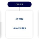 에스티글로벌