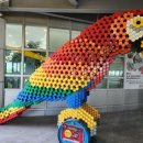 서양화교실 이미지