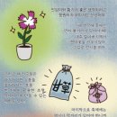 한의약거리 이미지