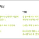인쇄프라자