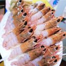 경성회식당 | 제주 회포장 맛집 추천｜한림 경성수산 vs 한수위 (고등어회·딱새우 후기)