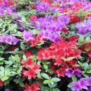 리엔파크공인중개사사무소 이미지