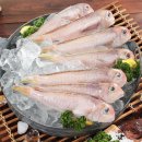 지앤케이 이미지