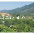 이고은피부과의원 이미지