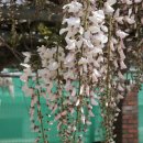 무안북중학교 이미지