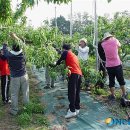 차평2리 이미지