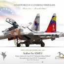 베네수엘라 러시아로부터 수호이 전투기 12대 구매의사 이미지
