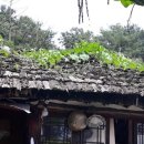 그집추어탕 이미지