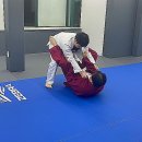 아트유도