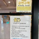 색달동-4 | [서귀포/색달동] 서귀포데이트 코스 추천! 카페오션 데이트 후기