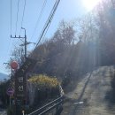 간월상회 | 251122, 영알환종주의 1/2