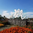 연성초등학교 입구 | 2019 꽃재교회 실버교육원 가을 나들이, 시흥갯골생태공원 탐방