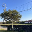 아끈두베 | 책방이 함께 있는 제주도 동쪽 구좌읍 가성비 감성숙소<두베하우스>내돈내산 후기