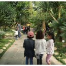 대지초등학교 이미지