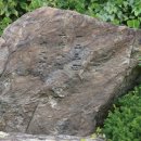 동점마을 암각문 이미지