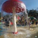 고래불국민야영장 이미지