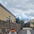 하소재 제주 이미지