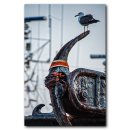 부산갈매기 이미지