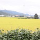 천마리농장 이미지