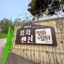 솔골펜션 네이버블로그