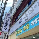 봉평옹심이메밀국수 이미지