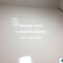 미스터줄눈