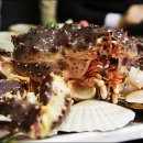 일품샤브샤브 이미지