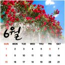 솔향 김지은신경과의원 이미지