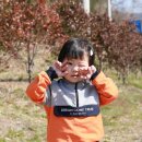 꼬마화가어린이집 이미지