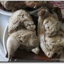 박달약수터