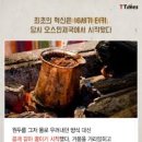 한토대 이미지