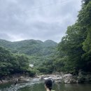 화개초등학교왕성분교장 이미지