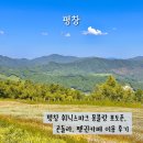 평창 휘닉스파크 곤돌라 몽블랑 펭귄카페 이용 후기